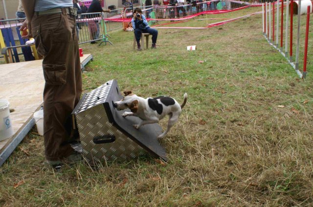 foire-haricots 2011-09-17et18